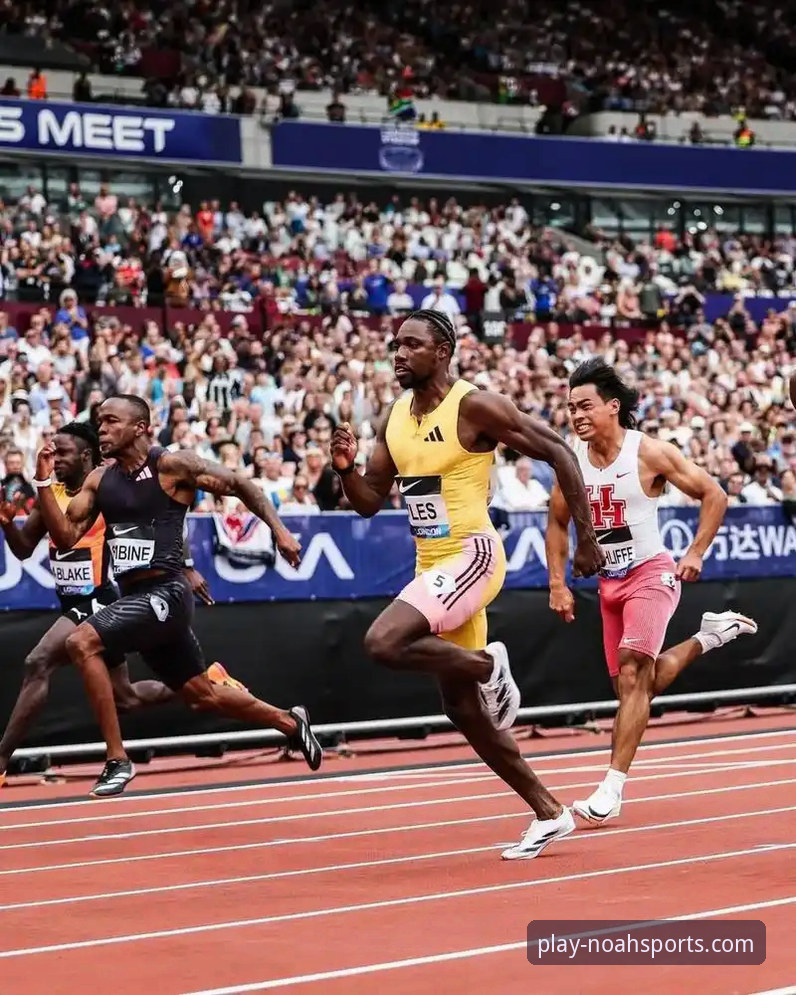 揭秘诺亚体育平台：新手如何零门槛畅享高清实时赛事？